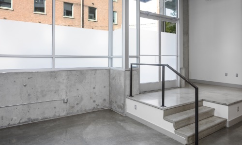 Bathed in Natural Light Cover Image